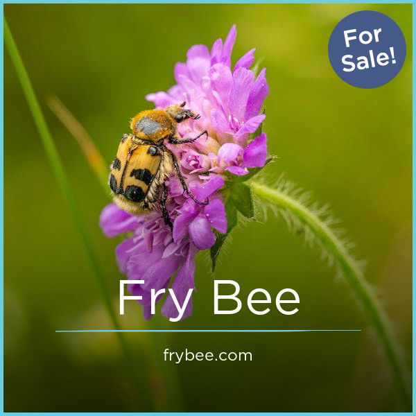 FryBee.com